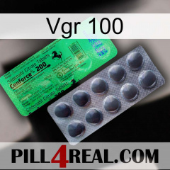Vgr 100 new04
